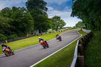 anglesey;brands-hatch;cadwell-park;croft;donington-park;enduro-digital-images;event-digital-images;eventdigitalimages;mallory;no-limits;oulton-park;peter-wileman-photography;racing-digital-images;silverstone;snetterton;trackday-digital-images;trackday-photos;vmcc-banbury-run;welsh-2-day-enduro